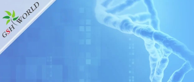 煙酰胺和nmn區(qū)別？煙酰胺單核苷酸(NMN) 的化合物
