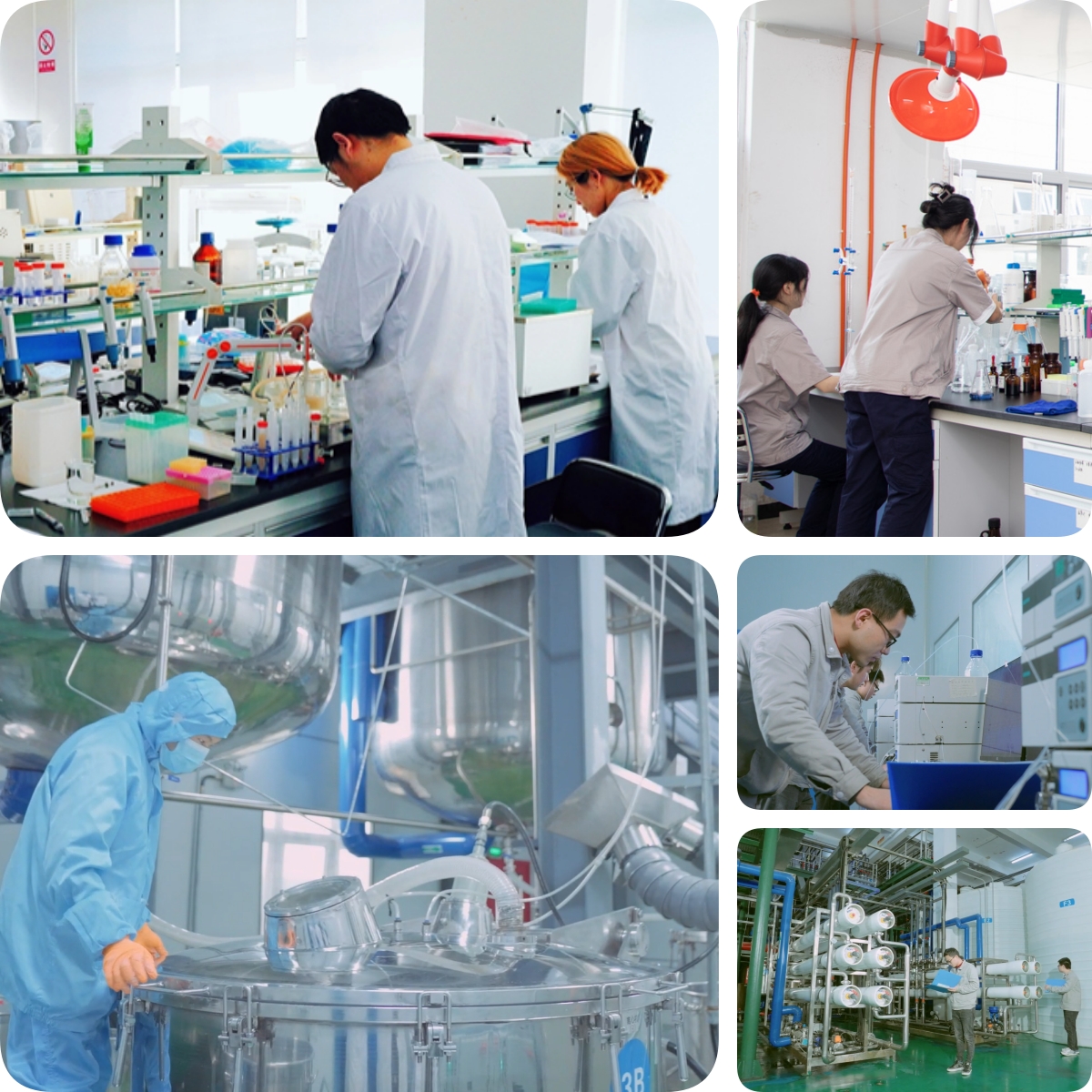 谷胱甘肽是怎么生產的？