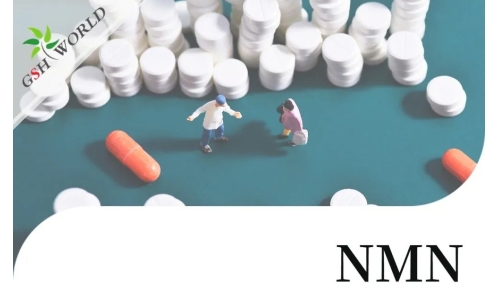 行業(yè)關(guān)注 - NMN的多種治療應(yīng)用