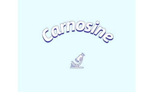 肌肽補(bǔ)充劑或可改善年輕群體認(rèn)知