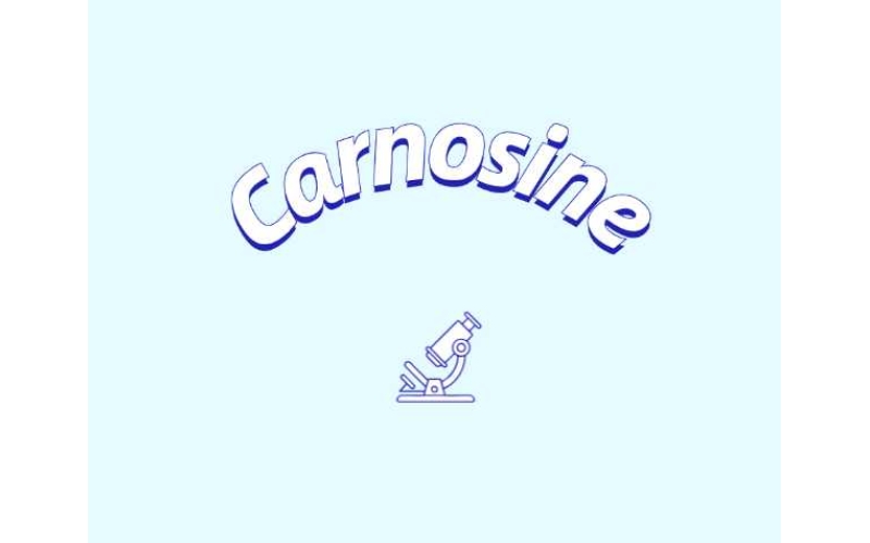 肌肽補(bǔ)充劑或可改善年輕群體認(rèn)知